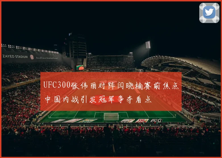 UFC300张伟丽对阵闫晓楠赛前焦点中国内战引发冠军争夺看点