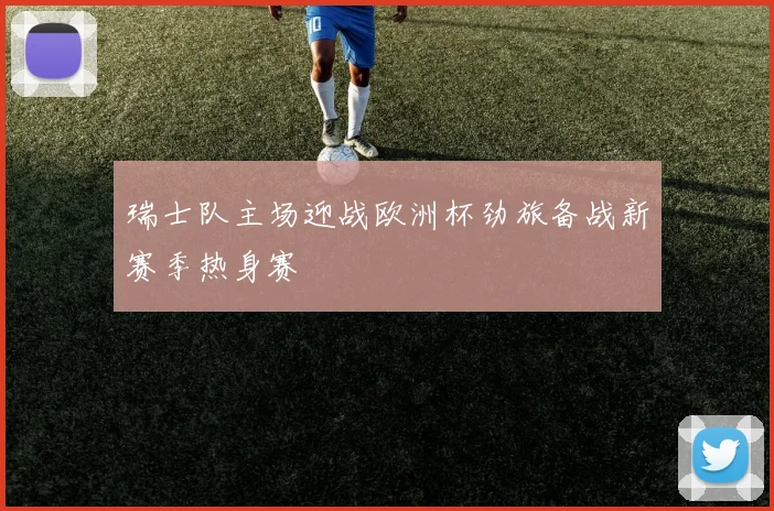 瑞士队主场迎战欧洲杯劲旅备战新赛季热身赛