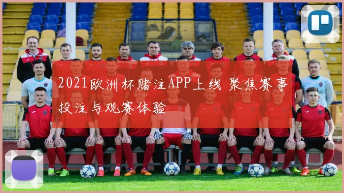 2021欧洲杯赌注APP上线 聚焦赛事投注与观赛体验