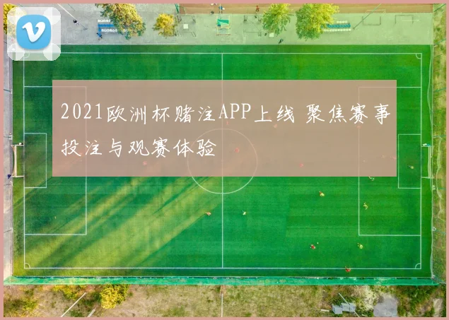 2021欧洲杯赌注APP上线 聚焦赛事投注与观赛体验