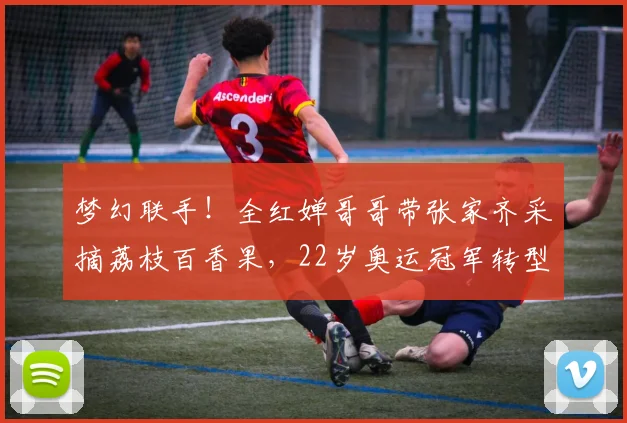 梦幻联手!全红婵哥哥带张家齐采摘荔枝百香果,22岁奥运冠军转型
