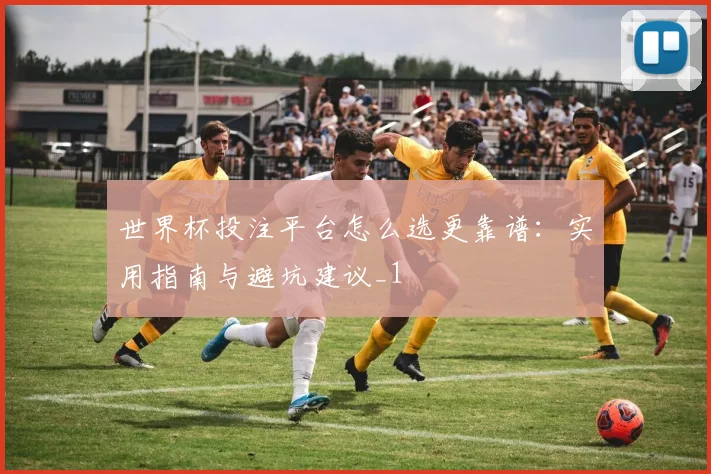 世界杯投注平台怎么选更靠谱：实用指南与避坑建议_1
