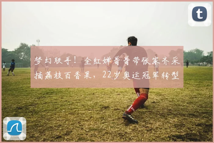 梦幻联手!全红婵哥哥带张家齐采摘荔枝百香果,22岁奥运冠军转型