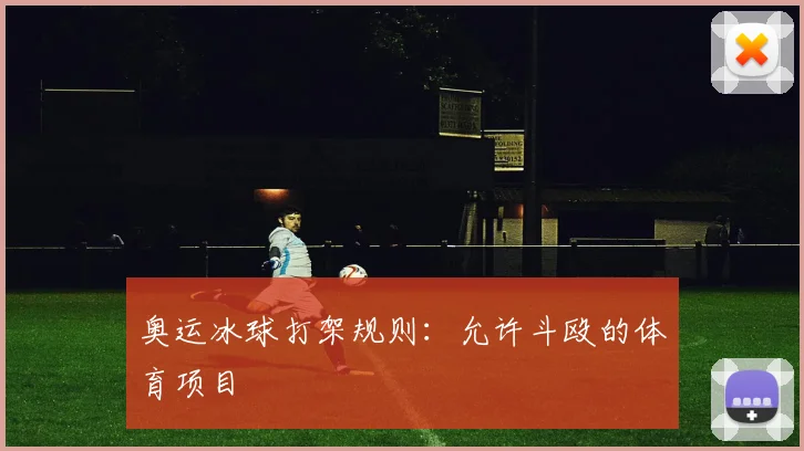奥运冰球打架规则：允许斗殴的体育项目